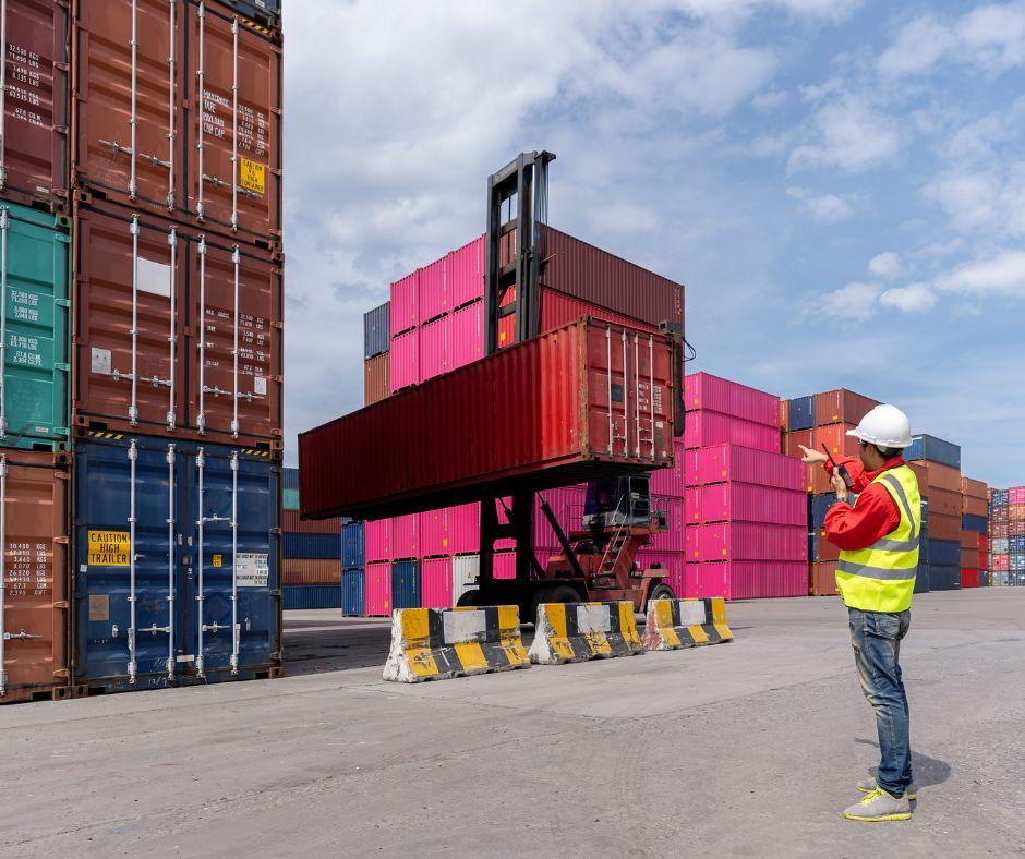 שירותי מחשוב לעמילי מכס